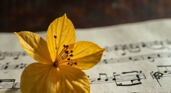 Musikalische Reflexionen über den medizinischen Fortschritt (10/10)