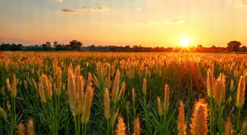 Die 5 meistgestellten Fragen (FAQ) zu Gasbohrprojekten