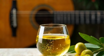 Die Bedeutung von Olivenöl in der Musik (10/10)