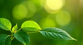 Musikalische Reflexion über Energieverbrauch (9/10)